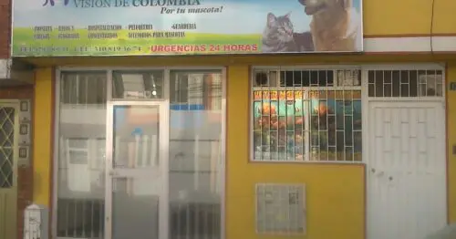 CLINICA VETERINARIA VISION DE COLOMBIA BOGOTÁ CLINICA VETERINARIA VISION DE COLOMBIA BOGOTÁ